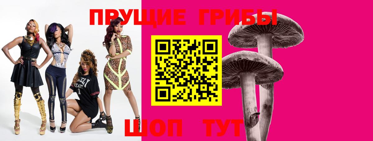 как найти закладки  Галлюциногенные грибы Psilocybine cubensis  Вход с VPN  Светлоград 